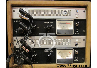 Enlarged view of image